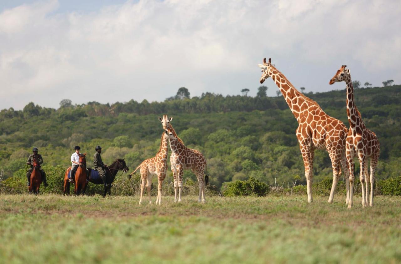 Отель The Aberdare Country Club Mweiga Экстерьер фото
